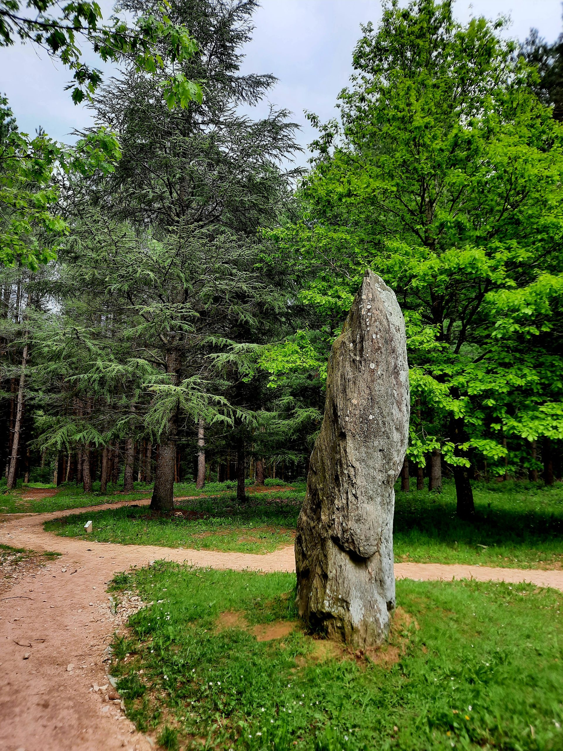 Arboretum