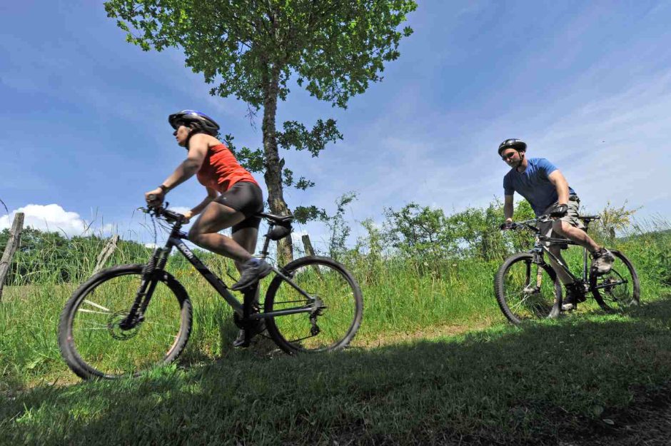 vtt